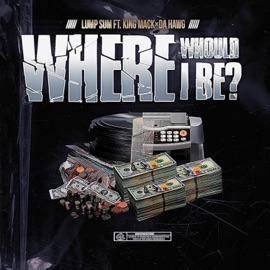 Where Would I Be? (feat. Mack Mo.aka.King Mack & Da Hawg) Lump Sum