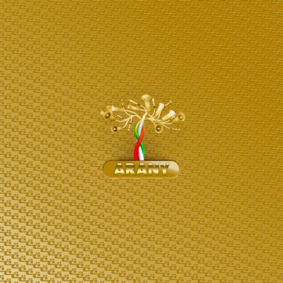 Arany (Szociológiai terepmunka)