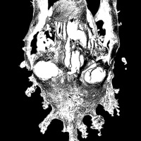 The Rot King - Single - CAIN