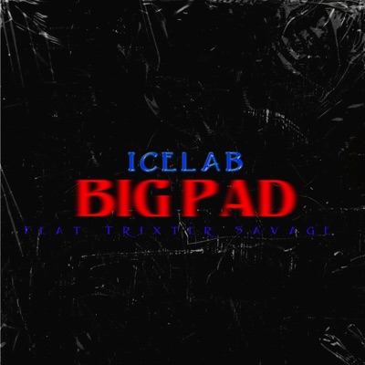 Big Pad (feat. Trixta Savage) - Single