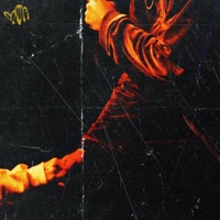 She a Fan - Single - Picasso Madonna