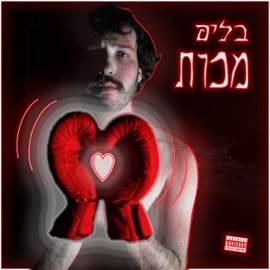 מכות בליפ