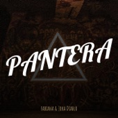 Pantera artwork
