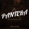 Pantera artwork