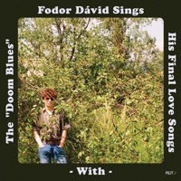 Fodor Dávid Sings His Final Love Songs with the 