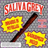 Innards In My Rillos (feat. Badkidmizu) - Single - Saliva Grey & 99zed