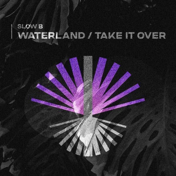 Waterland \ Take It Over - Single