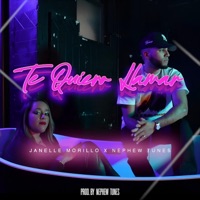 Te Quiero Llamar (Special Version) - Single - Janelle Morillo & Nephew Tunes