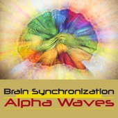 Brain Synchronization artwork