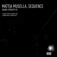 Insane Curiosity - Single - Sequence & Mattia Musella