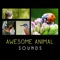 Wild Birds - Natural Sounds Music Academy lyrics