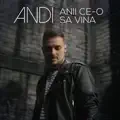 Anii ce