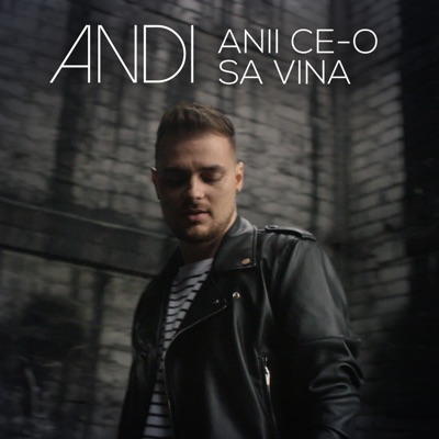 Anii Ce-O Sa Vina - Single
