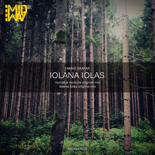 Iolana Iolas / Nyctalus Noctula - Single