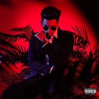 Be Who You Needed - Yayvo