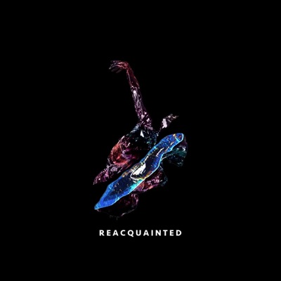 Reacquainted - Single
