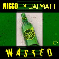Wasted (Danstyle Remix Edit) — Nicco, Jai Matt & Erick Ness