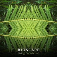 Not All Who Wander Are Lost