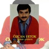 Sevdiğim Sensin
