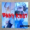 Anchor - Bnny Rbbt lyrics