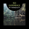 50 Experience of Tranquility – Deep State of Relaxation, Health and Well-Being, Beauty of Nature Sounds in Spa, Anxiety Free, Combat Insomnia with Yoga Nidra, Meditation - Calm Music Zone