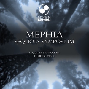 Sequoia Symposium - Single