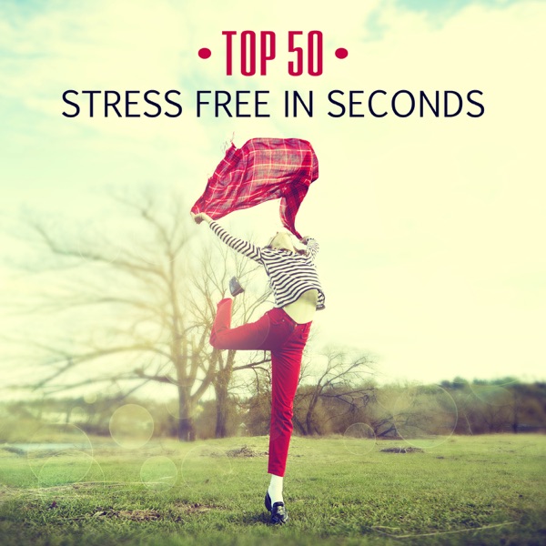 TOP 50: Stress Free in Seconds, Music for Guided Meditation, Therapy to Calm Down, Inner Peace, Mindfulness Meditation, Relaxation, Anxiety Free