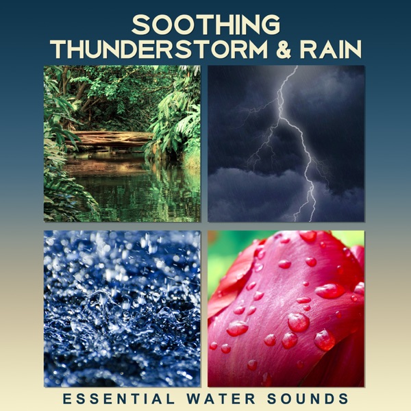 Soothing Thunderstorm & Rain: Essential Water Sounds – Silent Soul Healing, Relaxing Soundscapes, Music Therapy for Tranquility, Purity & Sleep