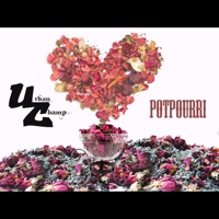 Potpourri - Single - Urban Champ
