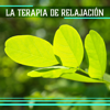 La Terapia de Relajación: Zen 100% Relajante Sonidos de la Naturaleza de Anti Estrés, la Armonía y el Bienestar - Música Zen Relajante Conjunto