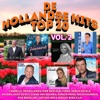 De Hollandse Hits Top 20 vol. 2, 2017