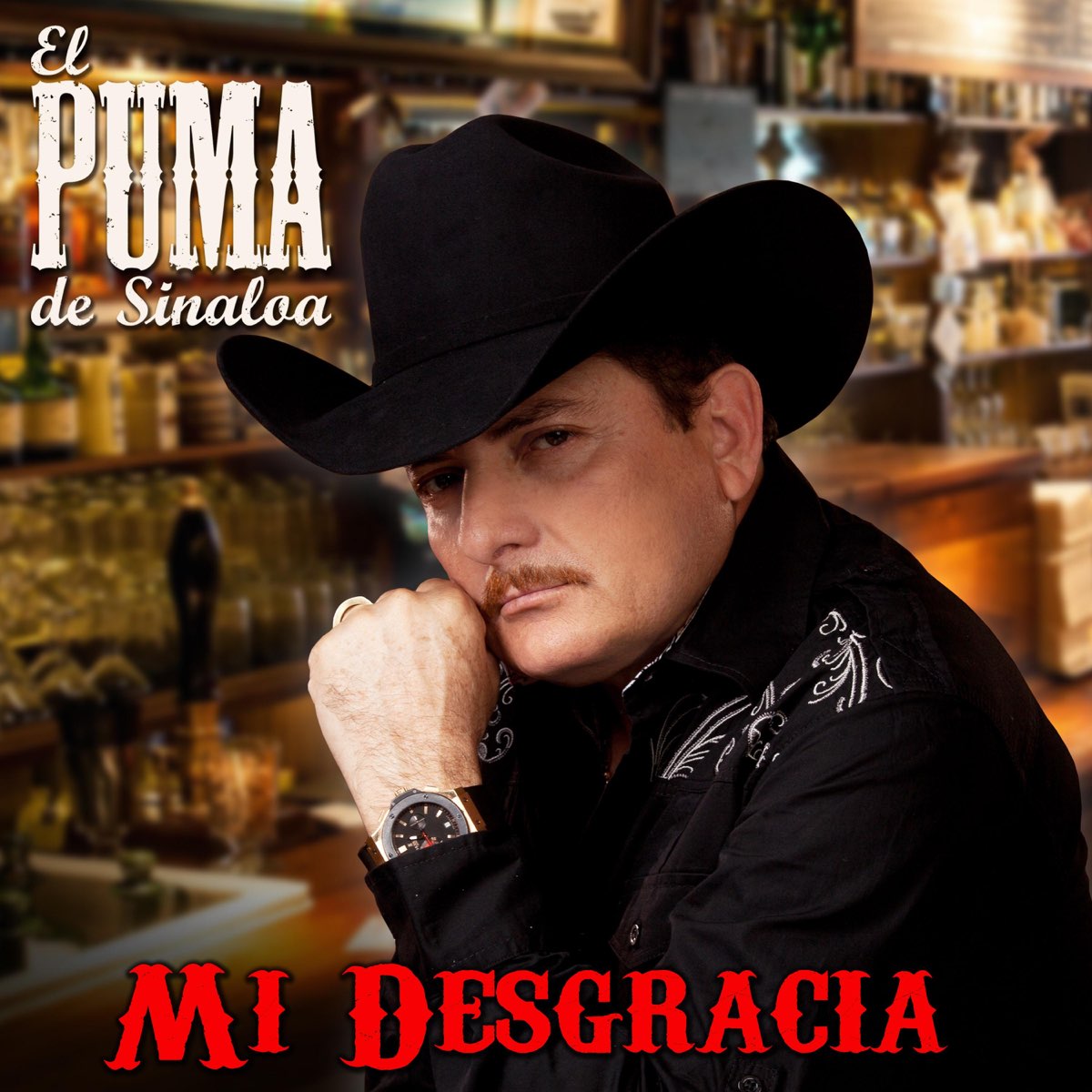 Mi Desgracia - Single by El Puma De Sinaloa on Apple Music