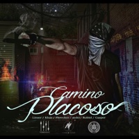 Camino Placoso (feat. Los Hijos de la Calle, Los Maleantes & Gasper 2611) - Single - Invacion Nocturna