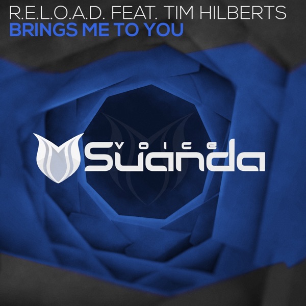 Brings Me to You (feat. Tim Hilberts) - Single