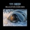 Anxiety & Stress Relief - Peaceful Sounds Zone lyrics