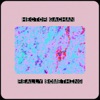 Hector Gachan - Really Something