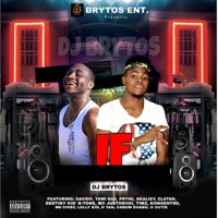 If (feat. Davido, Yemi Sax, Pryse, Skaliey, Zlatan, Destiny Kid'B Tone, MC Justorich, Timz, Koncentr8, MS CHief, Lolly Kid, D Yan, Cabum Duabo & G Cutie) - EP - DJ Brytos