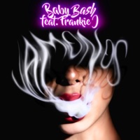 Vámonos (feat. Frankie J) - Single - Baby Bash