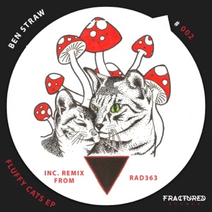 Fluffy Cats - Single