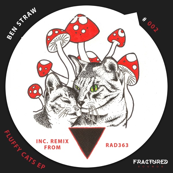 Fluffy Cats - Single