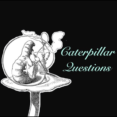 Caterpillar Questions - Single
