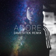 Adore (Dave Sitek Remix) - Single