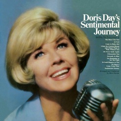 SENTIMENTAL JOURNEY cover art