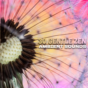 30 Gentle Zen Ambient Sounds: Soothing Music for Mindfulness Meditation, Yoga, Deep Sleep, Total Relax Body & Mind, Reduce Stress