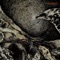 Brianchild - Bloodlet lyrics