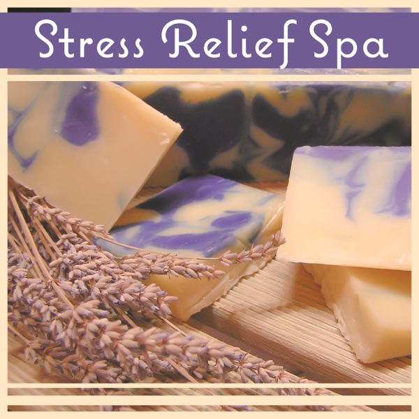 Stress Relief Spa: Relaxing Music, Body Blissful Treatment, Power of Healing, Sounds for Massage & Sleeping & Meditation & Studying and Yoga, Nature Ambient