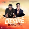 Desire (feat. Terry Apala) - Single