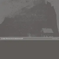 Ryuhyo — Eraldo Bernocchi & Netherworld