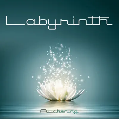 Awakening - Single - Labyrinth