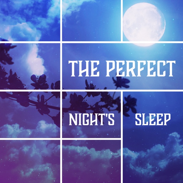 The Perfect Night's Sleep: Relaxing Bedtime Meditations, Calm Sounds at Night Time for Healthful & Deep Sleep, Therapy for Insomnia